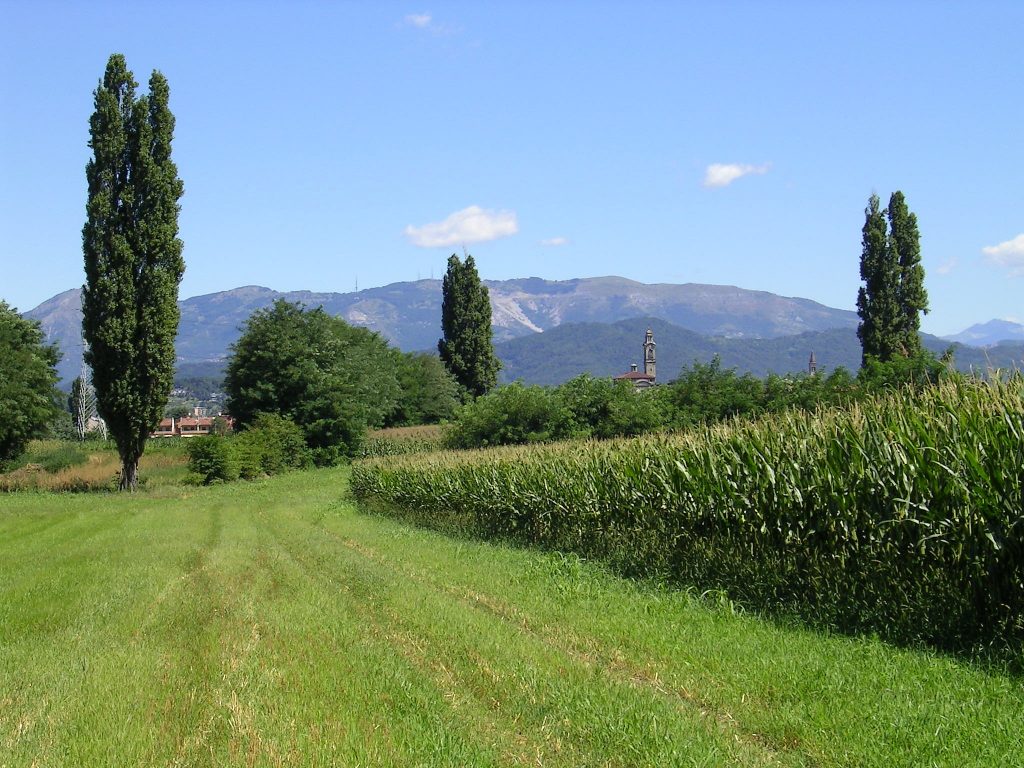 Dal Parco Agricolo Nord Est un bando per il volontariato che si prende cura di boschi e sentieri