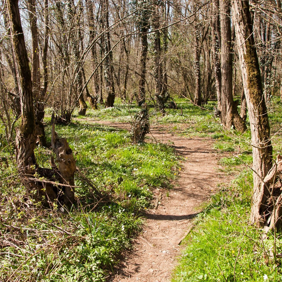 PLIS Parco Locale di interesse sovracomunale del Molgora 