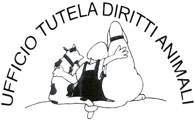 titolo immagine